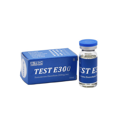 TEST E300