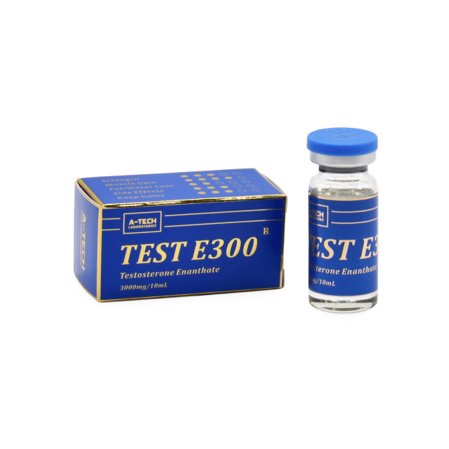TEST E300